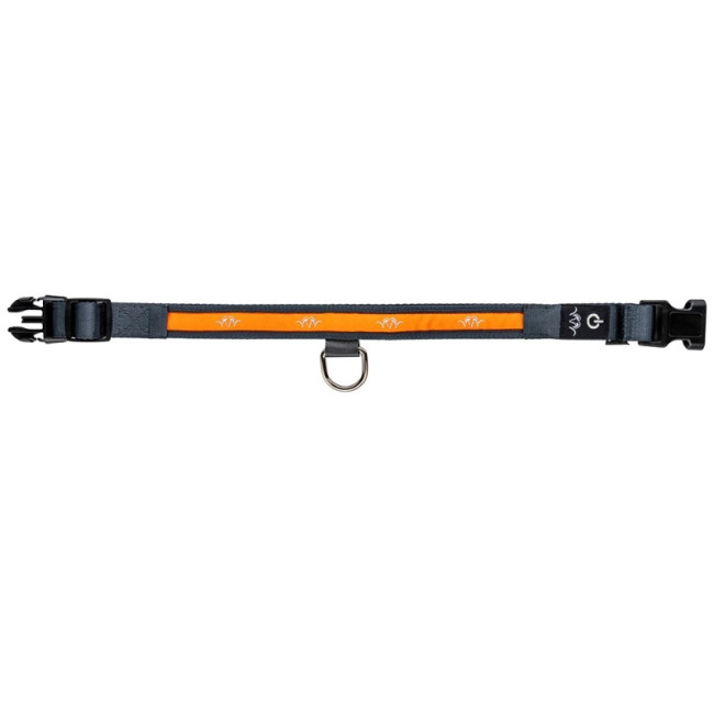 Obroża Blaser LED Dog Collar